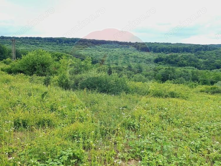 Teren de 5755 mp, în Hidiș