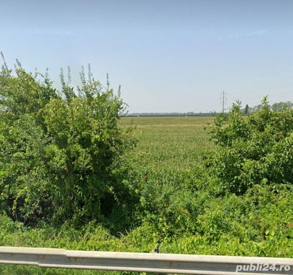 Teren de 5000 mp, în Berceni