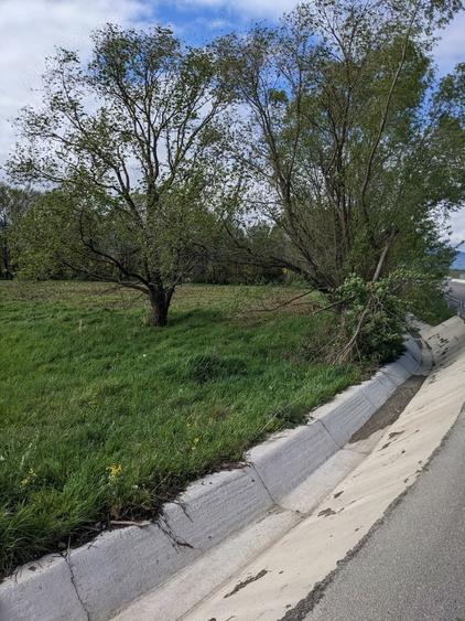 Teren în Copăcel