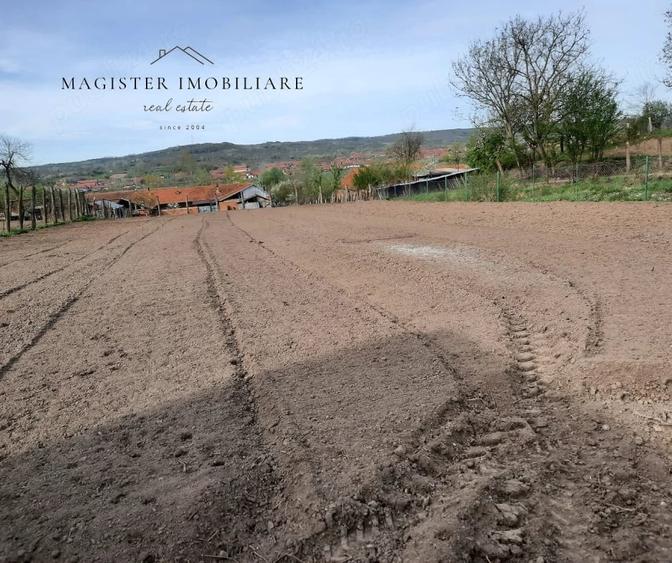 Casă cu 5 camere cu Teren 1600 Mp în Zorlențu Mare