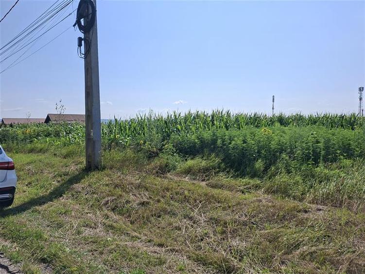 Teren intravilan de 1600 mp, în 9 Mai
