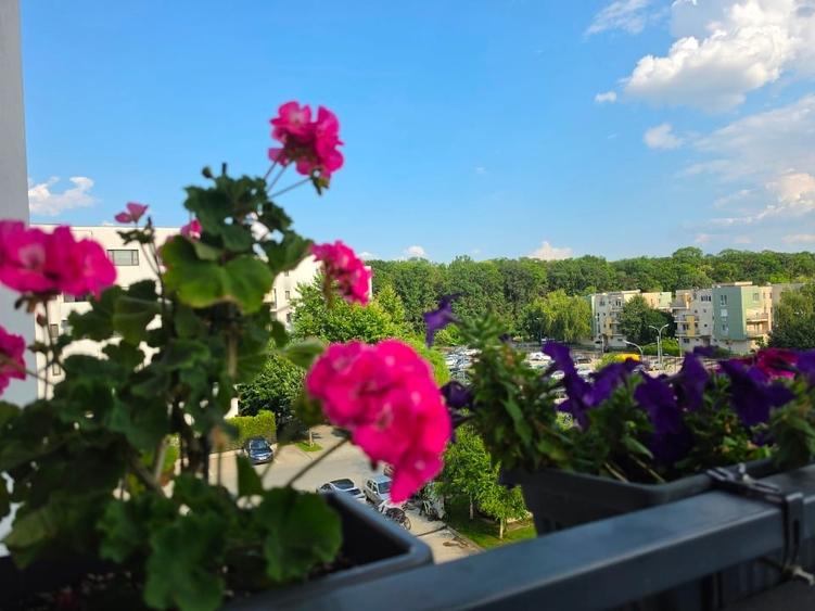 Apartament cu 2 camere semidecomandat, mobilat în Băneasa