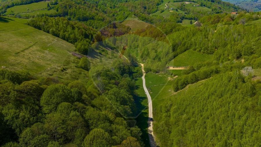 Teren agricol extravilan de 4363 mp, în Holbav