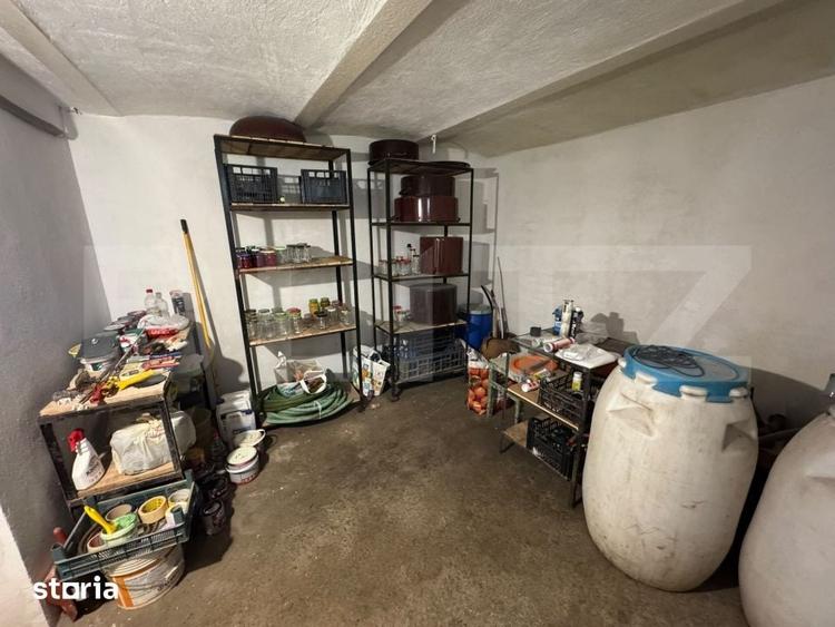 Casa individuala de vanzare in centrul localitatii Santandrei langa De - 18