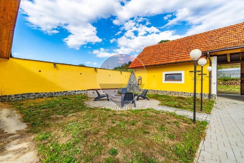Proprietate de Poveste/ MANDRA/ DE VANZARE!- piscina exterioara! - 60
