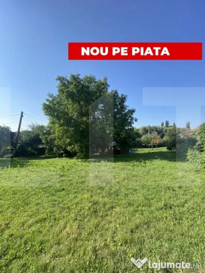 Teren de 1000 mp, în Central