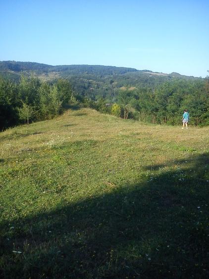 Teren agricol extravilan în Vărbilău