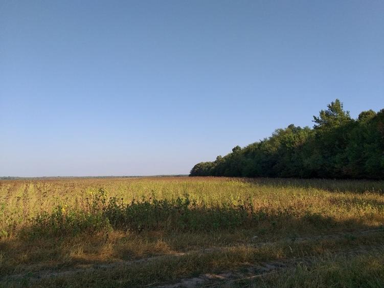 Teren agricol extravilan de 270000 mp, în Bâldana