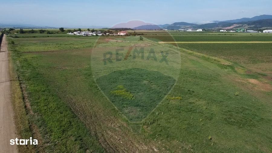 Teren de 39500 mp, în Vințu de Jos