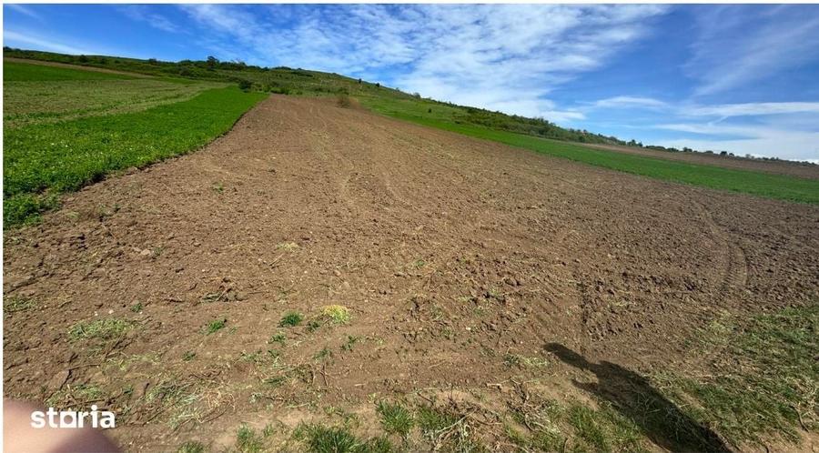 Vand Teren Extravilan, 6200mp, Zona Gusterita Sibiu - 3