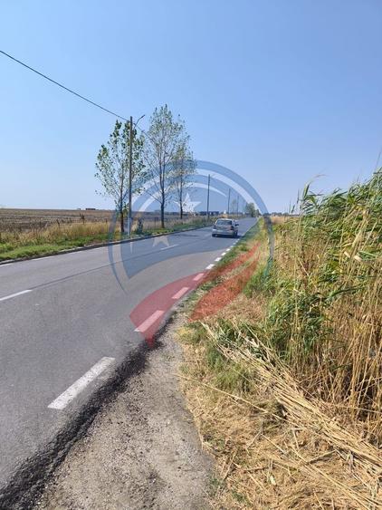 Teren Construcții intravilan de 10128 mp, în Pielești