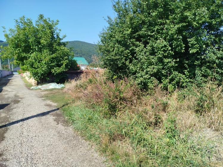 Casă individuală cu 3 camere cu Teren 4980 Mp în Central