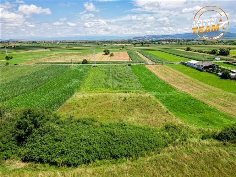 Teren Construcții extravilan de 7400 mp, în Sâncraiu