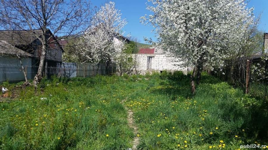 Teren în Central