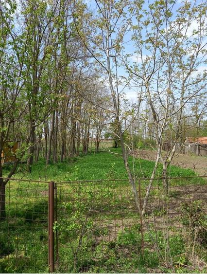 Teren de 3500 mp, în Central