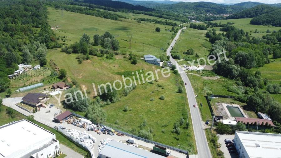 Teren de 17086 mp, în Curtea de Argeș