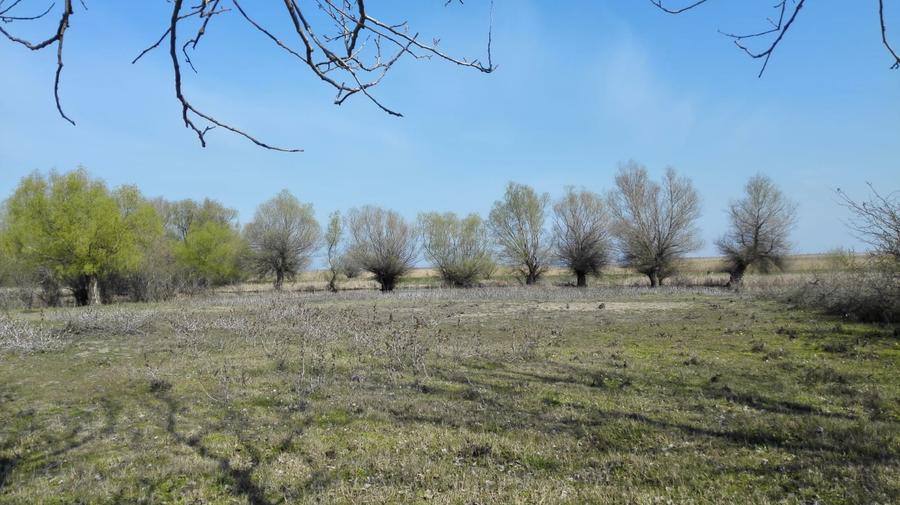 Teren Construcții intravilan de 2800 mp, în Sulina