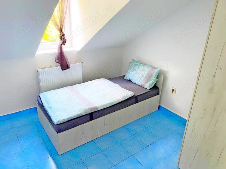 Casă cu 6 camere în Buziașului