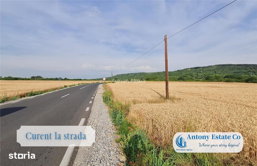 Antony Estate | Teren intravilan, de vanzare - Fughiu, Bihor