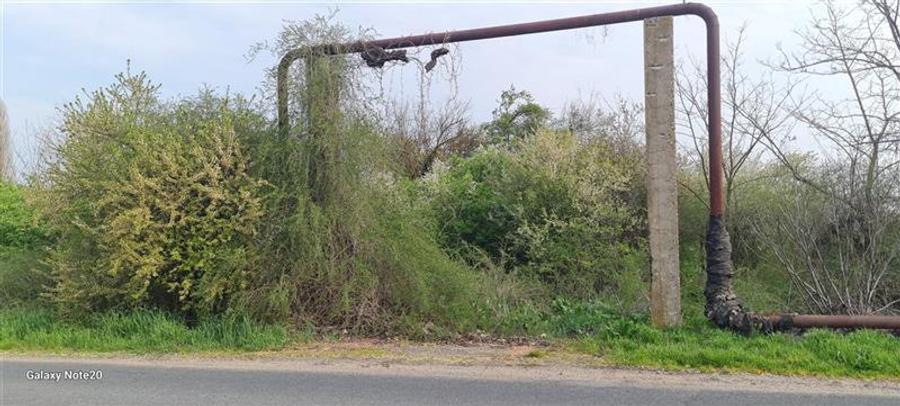 Teren agricol intravilan de 2500 mp, în Dorobanți