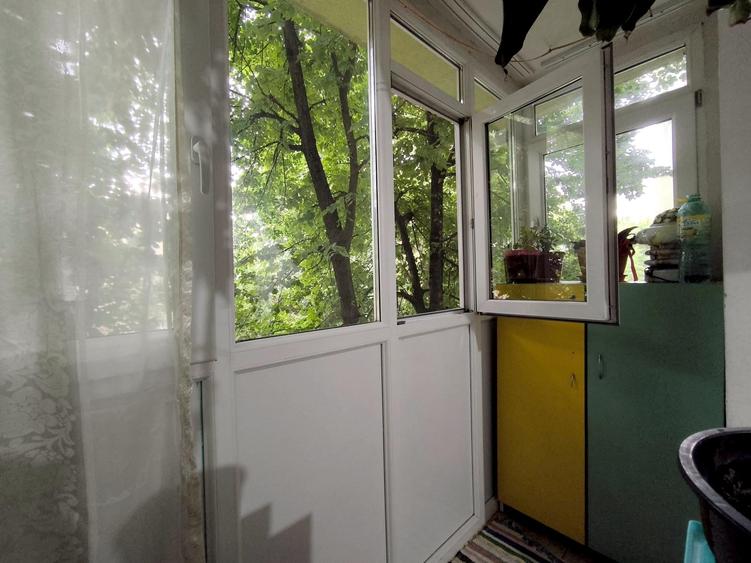 Lacul Tei zona Parcului apartament 2 camere decomandat bloc anvelopat - 9