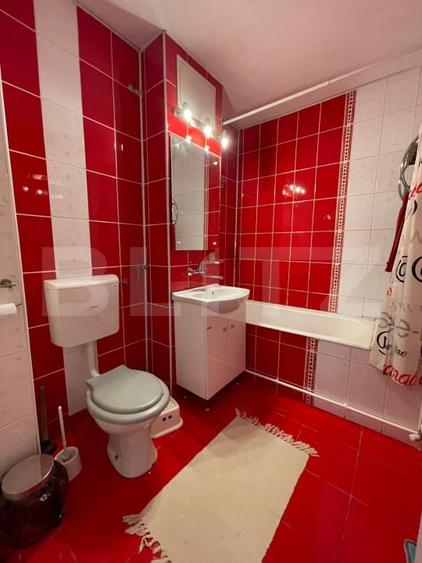 Apartament 3 camere decomandat, etaj 2/4, Lăpuș - Zona Restaurant Intim - 13