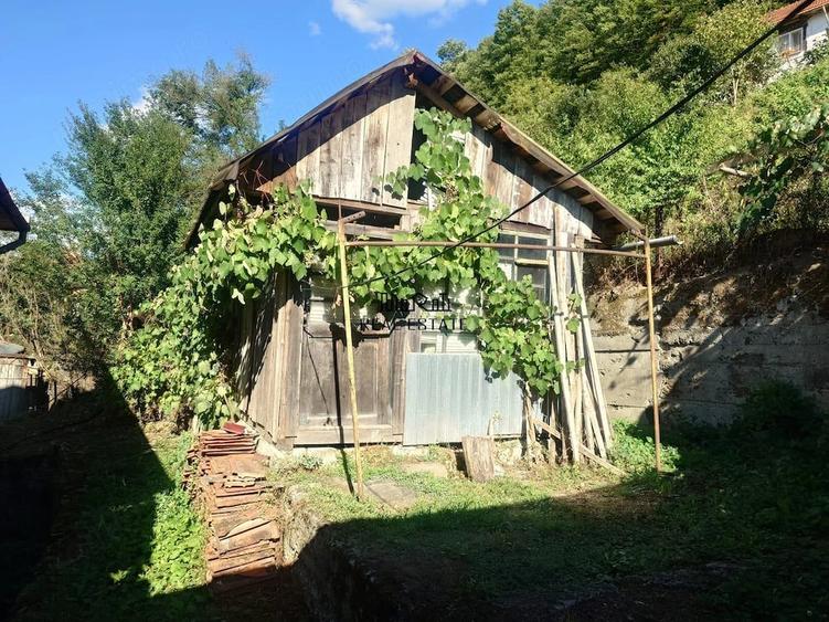 Casă cu 3 camere cu Teren 3514 Mp în Criș