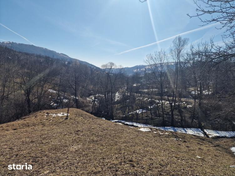 Teren de 4100 mp, în Secăria