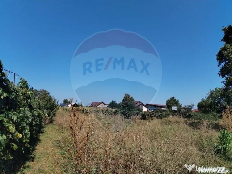 Casă cu 4 camere cu Teren 3370 Mp în Central