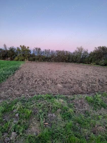 Teren de 1500 mp, în Plătărești