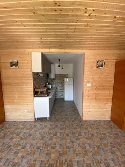 Casă cu 7 camere cu Teren 1790 Mp în Vadu