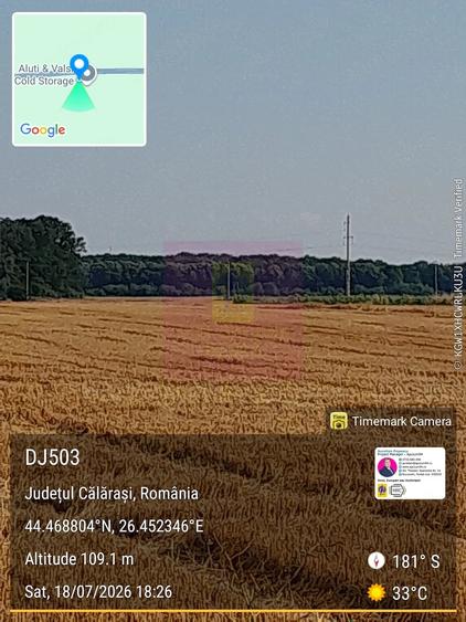 Teren de 21000 mp, în Belciugatele