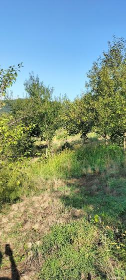 Teren de 5000 mp, în Exterior Vest