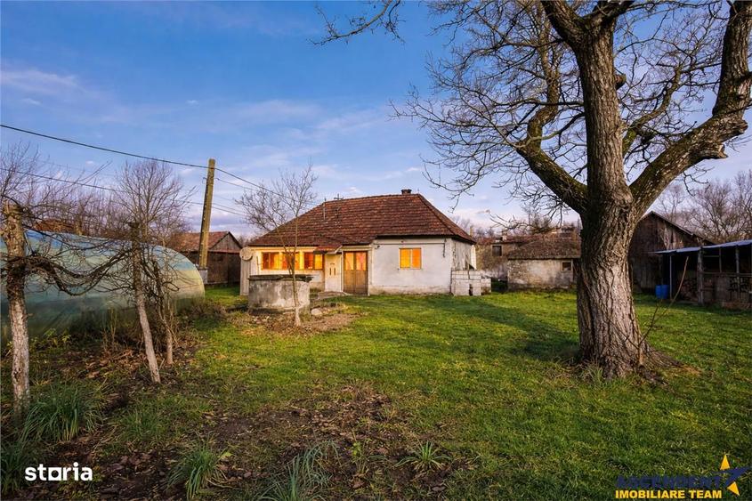 FILM! Casa cu sura, pivnita, balta cu pesti, 2.280 mp teren roditor, L - 18