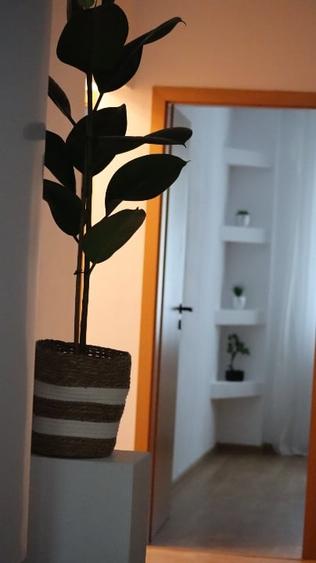 Apartament cu 3 camere în Cetății