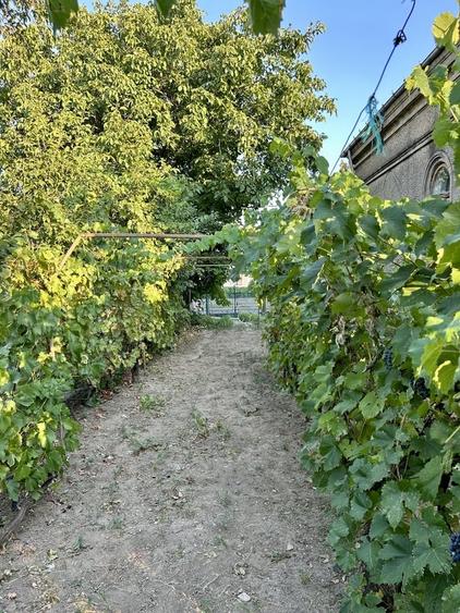 Ramnicu Sarat, jud. Buzau - 1