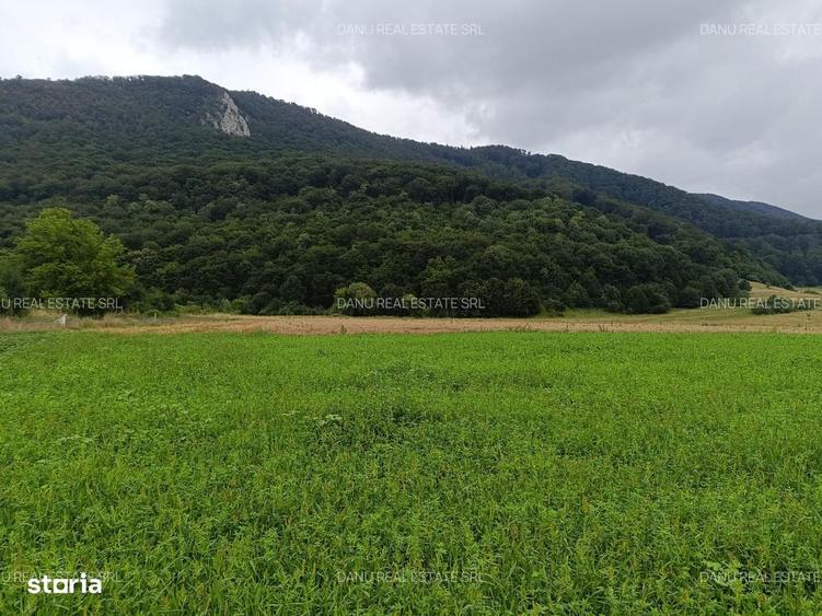 Teren de 16500 mp, în Bartolomeu