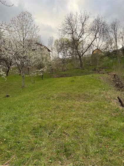 Teren de 809 mp, în Trăisteni
