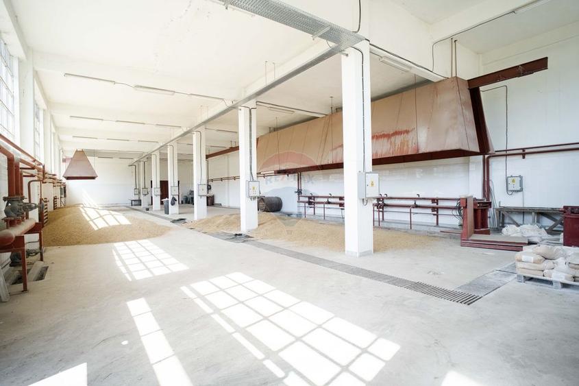 Spațiu industrial, de 3,139 mp, în Răducăneni
