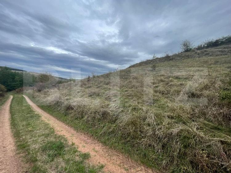 Teren Construcții extravilan de 2800 mp, în Drâmbar