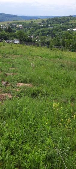 Teren Construcții extravilan de 3000 mp, în Luncani