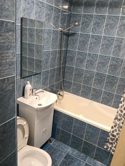 Apartament de inchiriat piata Resita - 3