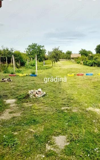 Casă în Bodrogu Nou
