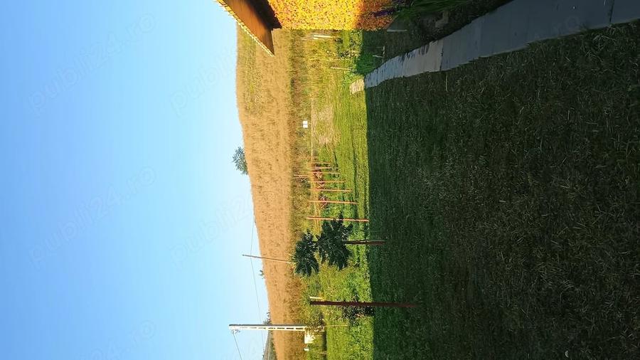Teren de 1800 mp, în Gădălin