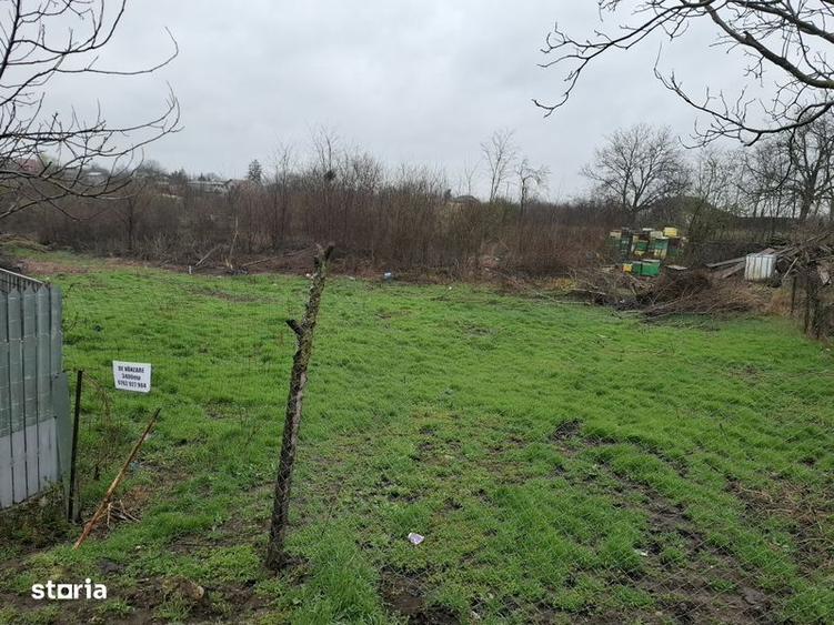 Teren de 3400 mp, în Petrăchioaia