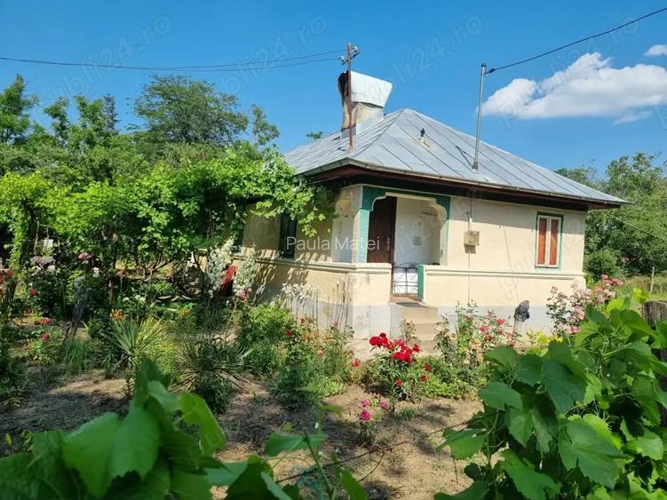 Casa cu teren de vanzare