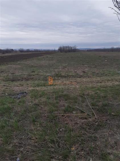Teren Construcții intravilan de 5000 mp, în Vadu Pașii