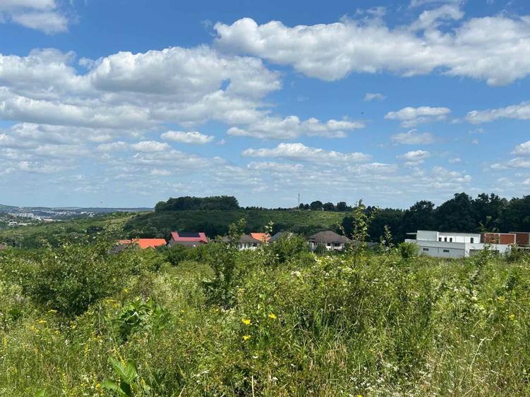 Teren intravilan 926 mp cu dublă deschidere – Bucium Pietrărie, Bârnova, Iași - 6