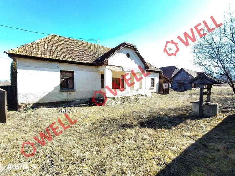 Casa de vanzare in Peteni! - 2