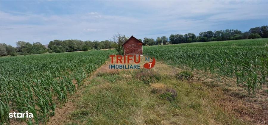 Spațiu comercial, în Vințu de Jos